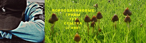 трава Алексеевка